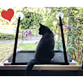 Miniatyrbild 2 av 5: Kattfönsterbäddar, Kattillbehör, Fönsterbädd Fönster Lounger Katthängmatta För Klättervägg Katter