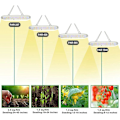 Miniatyrbillede 5 af 5: LED Plantelys, fuldt spektrum til drivhus og indendørs hydroponisk blomstrende grøntvoksende lys, mindre varme og større udbytte