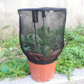 Miniatyrbilde 2 av 8: Ventilert insektbur, lysoverføring, fôringsnett, deksel, nettingbur, plante, solskjermingshus