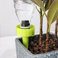 Miniatyrbillede 5 af 8: Automatisk plante Blomstervanding Spike Hjemmehave Balkon Drypvandingsværktøj Tilbehør Grønt