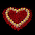 Miniatyrbilde 2 av 5: 24 Pakke LED Lys CR2032 Batterier Telys Flammeløs Klar Flakkende 100+ Timer Elektrisk Lys, Dekorer Halloween (Varm Gul (24 stk))