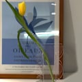 Miniatyrbild 7 av 8: Blomvas Modern Akryl Dekorativ Unik Vågig Form Vas för Sovrum Vardagsrumsbord Transparent