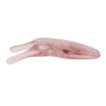 Miniatyrbillede 3 af 8: Næsemassager Harpiks Ansigtsbehandling Longicorn løfteclips Roman Nose Up Scraper Bar Smertefri slankning til kvinder Brun