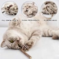 Miniatyrbild 3 av 5: 10-pack Matatabi-pinnar för katt, torkad kattmynta, naturlig kattmynta, Matabi-pinne, leksak för katter, 0,4–0,6 cm