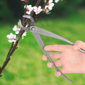 Miniatyrbillede 3 af 8: Multifunktions kulstofstål havegrenkutter Langt håndtag saks Bonsai beskæringsværktøj