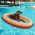 Miniatyrbild 1 av 5: Pool Floats för Hundar, Uppblåsbar Flytande Madrass för Husdjur, Hund Flytflotte, Poolleksaker Pool Float för Hundar Under 40kg