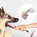 Miniatyrbilde 1 av 5: Hund Negleklipper, Elektrisk Stille Kloklipper For Hunder, Smerteløs Neglfil, Passer For Små Til Store Hunder Og Katter Rosa