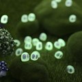 Miniatyrbild 1 av 8: 20 st Luminous Elves i mörk harts Elvor Prydnader Mikro Landskap Tillbehör Utomhus Trädgård Uteplats Gräsmatta Gård Dekorationer