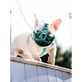 Miniatyrbillede 2 af 5: Åndbar Mesh Justerbar Hunde Mundkurv til Franske Bulldogs og Mops M Sort