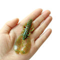 Pikkukuva 3 / 5: Kestävät Katkarapujen Onkimiehet - Premium Bass Jigs Taimenelle, Ahvenelle - 4 Kpl