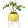 Miniatyrbillede 1 af 5: Moderne Rund Metal Blomstervase Med Stativ - Indendørs Og Udendørs Dekoration (Gul)