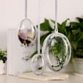 Miniatyrbild 6 av 8: 10 st Transparenta ihåliga ovala prydnader Bollar Plast Äggformade bollar Konserverade Blomma påskdekoration