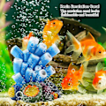 Miniatyrbillede 2 af 5: Harpiks Emuleret Koraller Farverige Moderne Akvarium Dekoration Luftboblesten Blå Koraller Søstjerne Oxygen Akvarium Fiskekum Ornament Dekoration Fremragende