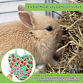 Miniatyrbillede 2 af 4: 1 stk. Kanin Hø Feeder Pose Marsvin Hø Pose Kanin Foder Pose Lille Dyr Hængende Feeder Sæk Opbevaring Jordbær