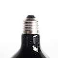 Miniatyrbillede 5 af 5: Natlampe til krybdyr og padder (pakke med 4)