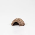 Miniatyrbillede 2 af 4: Naturligt kokoskrybdyr og padderhus - 13 x 6 cm