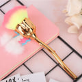 Miniatyrbilde 3 av 8: Rose Shape Langt skaft Nail Art Brush Manikyr Neglepolering Støvpulverfjerningsbørste 03#