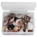 Pikkukuva 3 / 8: Korut Askartelu Tee-se-itse Shell Sea Snail Set Natural Seashell Conch Häät Kodinsisustus