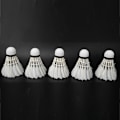 Miniatyrbillede 4 af 8: 5 STK Holdbare fjerbadmintonbolde fjerbolde til udendørs indendørs træning