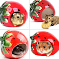 Miniatyrbillede 3 af 5: 2025 Egnet Sødt Keramisk Jordbær Hamsterhus til Chinchilla Hamstere
