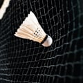 Miniatyrbillede 7 af 8: 12 stk. High Speed Andefjer Badmintonbolde Shuttlecocks Udendørs Indendørs Træningskonkurrence