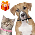 Miniatyrbild 3 av 5: 2 st Katt Halsband, Läder Katthalsband, Katthalsband, Justerbart Katthalsband, Läder Katthalsband, Justerbart Katthalsband för Katter med Spänne