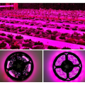 Miniatyrbillede 5 af 5: Smart vandtæt LED Grow Light System, 1 meter