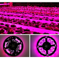 Pikkukuva 5 / 5: Älykäs vedenpitävä LED Grow Light System, 1 metri