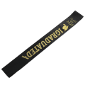 Miniatyrbillede 4 af 8: 10 stk Graduation Sash Class of 2023 Stole with Gold Glitter Letter I dimitterede til fest