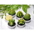 Miniatyrbillede 4 af 4: Kaktus fyrfadslys, terrarium lys gavepakke, Mors Dag julegave, røgfri håndlavet sød gave lys, familie duft fødselsdag