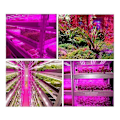 Miniatyrbillede 2 af 5: Vækstlys, Smart Vandtæt Grøntsagslys Strip 2m LED System Vækstlys, Smart Håndfoldende Vækstlys Strip 2m