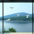 Pikkukuva 4 / 5: Estä lintujen törmäykset Hummingbird-staattisilla ikkunatarroilla