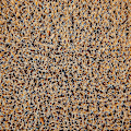 Pikkukuva 3 / 5: Tervetuloa-matto kookoskuidusta - Checkers - 18x30 tuumaa