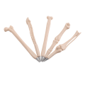 Miniatyrbilde 5 av 8: 5 stk/sett Creative Bones Form Kulepenner Skolekontorrekvisita Barnegave