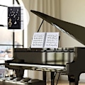 Miniatyrbillede 4 af 5: Musikerens lommemappe - 30 lommer, opbevaring af noder