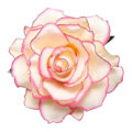 Miniatyrbillede 5 af 5: Moderne stofroseblomst broche - elegant bryllup brude reversnål og hårklemme, perfekt gave til kvinders tilbehør mørk pink