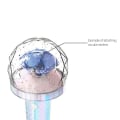 Miniatyrbilde 5 av 7: Bluetooth-kontrollert Seventeen Lightstick - Versjon 2 | Perfekt gave til 17 fans