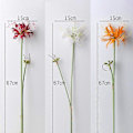 Miniatyrbillede 5 af 5: 5 stk. Spider Lily Kunstig Sten Hvidløg Løg Lang Stilk Real Touch Hjemmekontor Hotel Stue Dekoration - B17 Pink