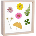 Miniatyrbillede 2 af 5: Dobbeltsidet Akrylplante Presset Blomsterramme til Træbilledrammer