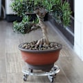 Miniatyrbild 8 av 8: Rund Akrylbricka Flerfunktionell Robust Stabil Transparent Blomkruka Bottenstöd för Hemmakontor