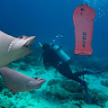Pikkukuva 5 / 8: KEEP DIVING Sukellus Turvallisuus Nostolaukku Tyhjennysventtiili Pumppaus Sukelluslisävaruste 60LBS