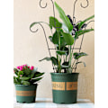Miniatyrbild 6 av 8: Trädgårdsspaljé i rostfritt stål för klätterväxter Vine Plant Support Spaljé för Vines C C