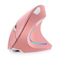 Miniatyrbillede 1 af 2: Ergonomisk Vertikal Mus 2.4g Usb Trådløs Gaming Mus Computermus Med Lys
