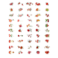 Miniatyrbilde 4 av 8: 100 stk naturlige blomsterklistremerker for utklippsbok, selvklebende utklippsbok-klistremerker, forsyninger, journal for kortlaging, bokstaver, DIY, rød