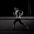 Miniatyrbillede 4 af 5: 2 stk. USB LED sikkerhedslys - Klar cykelbaglygte fungerer glimrende som løbelys til joggere, kæledyr, cykelblink eller bagclips