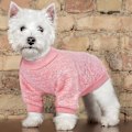 Miniatyrbilde 4 av 5: 4 stk Hundepet Vinterklær Valp Varm Genser Strikkede Klær Jakke for Små Mellomstore Hunder Jente Hund Gutt (M, Rosa, Roserød, Vinrød, Lilla)