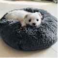 Miniatyrbillede 4 af 5: Rund plys donut seng til hunde og katte - blød og komfortabel, varm og hyggelig kæledyrsseng til hvalpe - ca. 45-50 cm i diameter