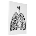 Pikkukuva 3 / 8: Anatomian kangas retro koristeellinen seinäelin taidemaalaus sairaalaan makuuhuoneeseen luokkahuoneeseen tyyppi A