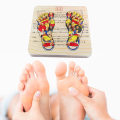 Pikkukuva 6 / 6: Puinen jalkahierontalauta Acupoint Foot Massager -vyöhyketerapiakaavio