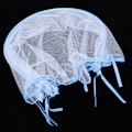 Miniatyrbillede 2 af 8: Bærbar fuld dækning fly insektbeskyttelse myggenet til klapvogn spædbarn baby barnevognBlå kant rattan barnevogn myggenet